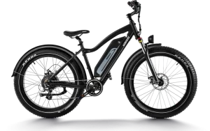 Himiway D3 - Cruiser