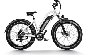 Himiway D3 ST - Cruiser