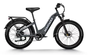 Himiway D5 ST - Zebra